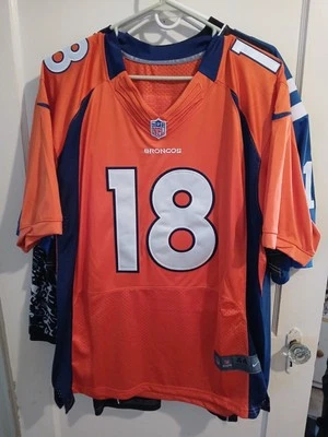 Pintura Manning, Broncos. Foto 1 de 2