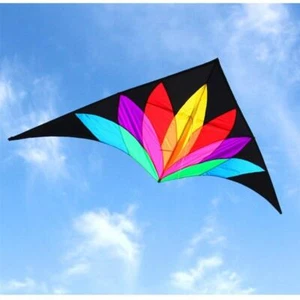 New Large Delta 2m Flying Rainbow Kites With String Handle Line For Adults Gift - Picture 1 of 13