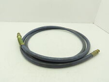 Graco 061-240 Airless Paint Sprayer Hose 3/8"x 10'  3000 PSI NPT Male Ends