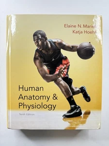 Human Anatomy & Physiology 10th Edition Marieb Hoehn Hardcover Pearson Textbook - Imagen 1 de 8