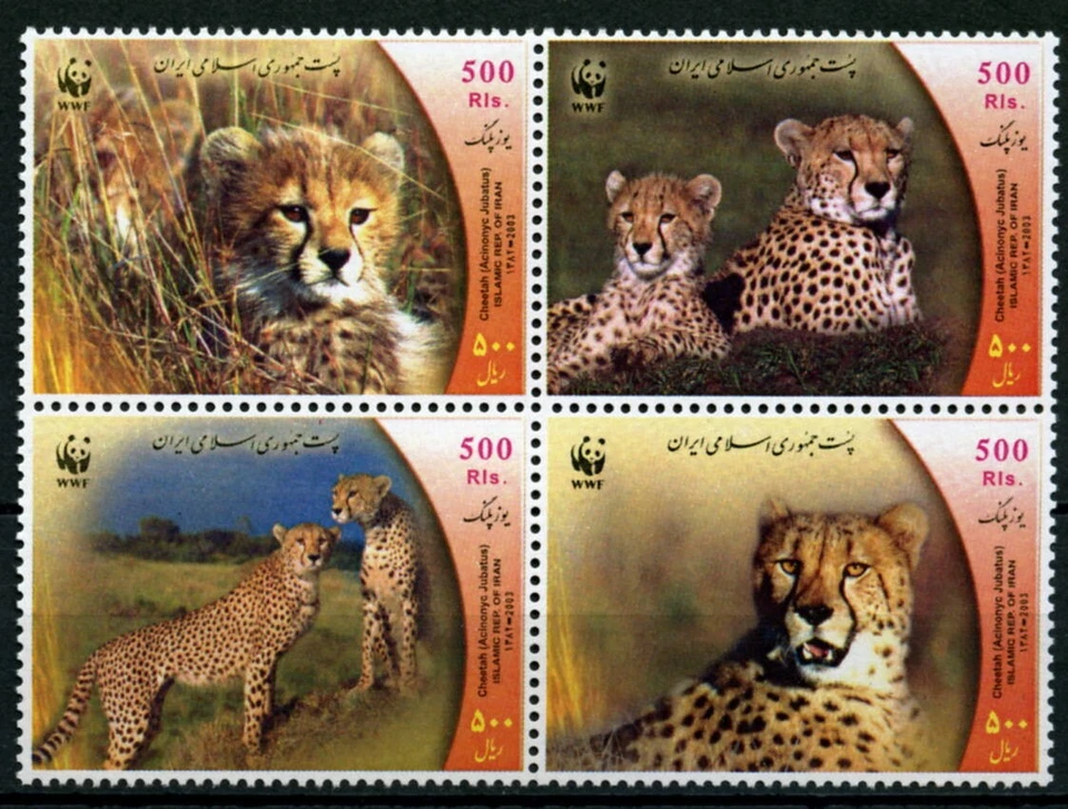 IRA№  2003 MiNr. 2932-35 Mammals Cats of prey Cheetah WWF 4v MNH** 4,00 € - Image 1 of 1