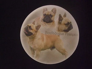 Tapis de souris - BOULEDOGUE FRANCAIS FAUVE - Imagen 1 de 1