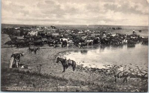 1910s KA Postcard The Round Up Arkansas City Albertype Cornish 1906 Cowboys - Picture 1 of 2