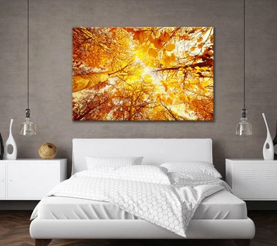 LARGE AUTUMN FOREST TREES YELLOW LEAVES CANVAS WALL ART PICTURE STUNNING PRINT - Image 1 of 2