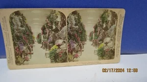 colorized stereoscope , In the Catacombs Brussels 1901 - Picture 1 of 2