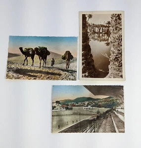 Afrique du Nord / Tlemcen - 3 cartes postales anciennes North Africa Postcards - Imagen 1 de 4