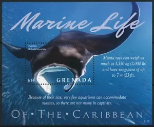 Grenada 2021 MNH Stamps Marine Life of Caribbean Manta Rays Fish 1v S/S - Picture 1 of 1