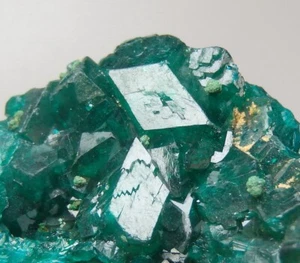 DIOPTASE beautiful BIG crystals Dem. Rep. CONGO - Kolwezi - Kapata Mine /pl115 - Picture 1 of 14