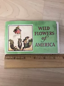 WILDFLOWERS OF AMERIKA ~ antikes Softcover ~ Jane Harvey & Irving Lawson um 1932 - Bild 1 von 8