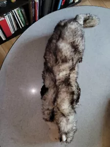 Frettchen Handpuppe neu Folkmanis Plüschtier Tier Ganzkörper 25 Zoll - Bild 1 von 4