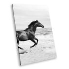 A370 Black White Animal Portrait Canvas Picture Print Wall Art Horse Sea Sunset