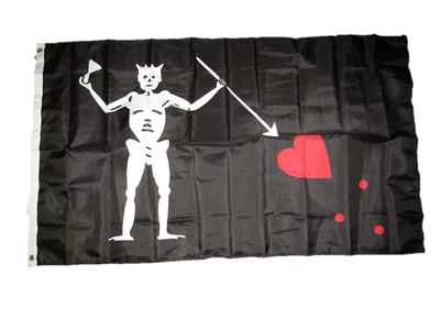 3x5 Jolly Roger Pirata Barba Negra 100D Bandera 3'x5' Ojales de Latón Edward Teach Foto 1 de 4