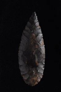 NODENA ARROWHEAD Colbert County Alabama Artefacto Rogers Certificado de Autenticidad - Imagen 1 de 4