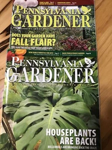 Zwei Pennsylvania Gärtner Sept/Okt 2018 & Feb 2019 Gartenarbeit - Bild 1 von 14