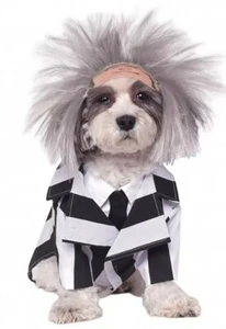 Disfraz de Beetlejuice para mascota - Imagen 1 de 6