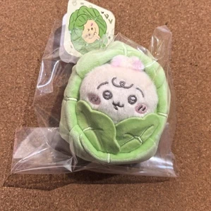 Hot Chiikawa Baby Usagi Rabbit Cabbage Plush Doll Store Limited Japanese New - Afbeelding 1 van 6