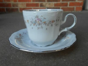 Johann Haviland Floral Splendor COFFEE CUP and SAUCER Bavaria Germany - Picture 1 of 6
