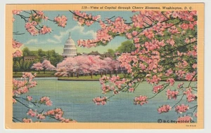Washington DC US Kapitol Kirschblüten Gezeitenbecken Leinen Postkarte - Bild 1 von 2