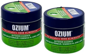 Gel desinfectante de aire Ozium 4,5 oz: ambientador para automóvil, gasolina para exteriores, 2 paquetes - Imagen 1 de 2
