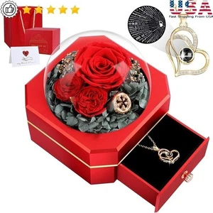 Eternal Preserved Rose Gift Set W/ I Love You Necklace in 100 Languages Her New - Picture 1 of 7