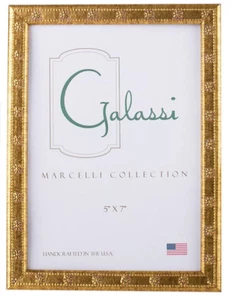 F. G. Galassi Custom Fine Italian Wood Marcelli Thin Gold Daisy 100757 5x7 Frame - Picture 1 of 1