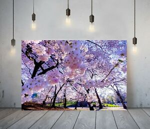 FLORAL BLOSSOM TREES -DEEP FRAMED CANVAS WALL ART PICTURE PAPER PRINT- PINK