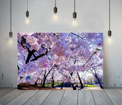FLORAL BLOSSOM TREES -DEEP FRAMED CANVAS WALL ART PICTURE PAPER PRINT- PINK - Image 1 of 4