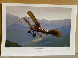 NO 1 ARTIST PROOF Austro Hungarian AVIATION art Croatian Ace Friedrich Navratil - Picture 1 of 4