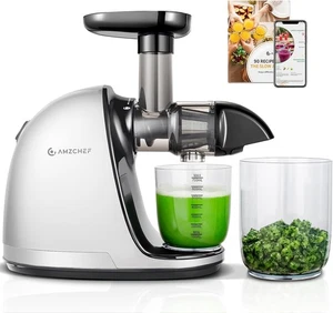 AMZCHEF Juicer Machines - Cold Press Slow Juicer - Masticating Juicer for Whole - Picture 1 of 9