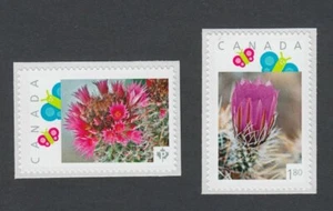 cq. CACTUS FLOWERS = $1.80 & "P" Picture Postage Stamps MNH Canada 2014 / p11-c2 - Bild 1 von 2