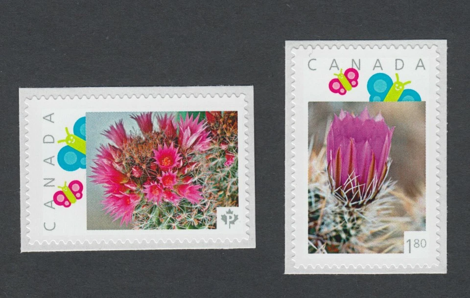 cq. CACTUS FLOWERS = $1.80 & "P" Picture Postage Stamps MNH Canada 2014 / p11-c2 Foto 1 de 2