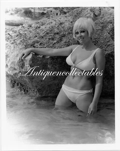 Darkroom Produced 8x10 Photograph Sexy Glamour Model June Palmer D30 - Picture 1 of 1