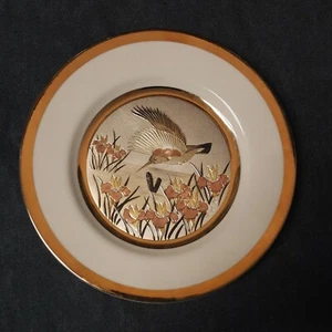 The History of British Birds 8" plato de acento de ensalada colibrí de Prima Donna  - Imagen 1 de 7