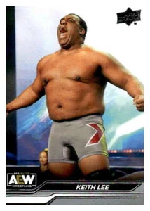 KEITH LEE 2024 Upper Deck AEW Wrestling #24 ID:123990 - Picture 1 of 2