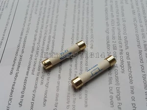 1x Silver Alloy Power Fuse Gold Cap 5x20mm 2A 5A 6x32mm Slow blow Fuses - Picture 1 of 2