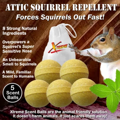 Xtreme Attic Squirrel Repellent. Drives Squirrels Out Fast! 5 Pack - Image 1 of 4