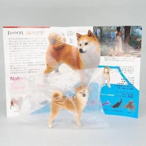 Nature Techni Colour, Nature of Japan vol.2, Shiba Inu Figure - Picture 1 of 1