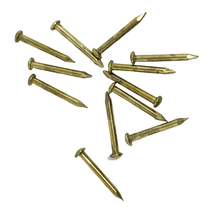 Miniature Cuckoo Clock Nails – 12 Pc Set – 3/8″ Long x 1.03mm Diameter CC-100 - Picture 1 of 3