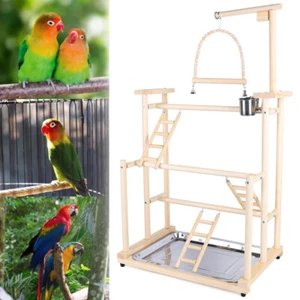 Pet Parrot Playstand Parrots Bird Playground Bird Play Stand Wood Perch Gym Play - Picture 1 of 19