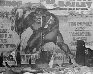 Circus Poster Gorrila Vintage 8x10 Reprint Of Old Photo - Picture 1 of 1