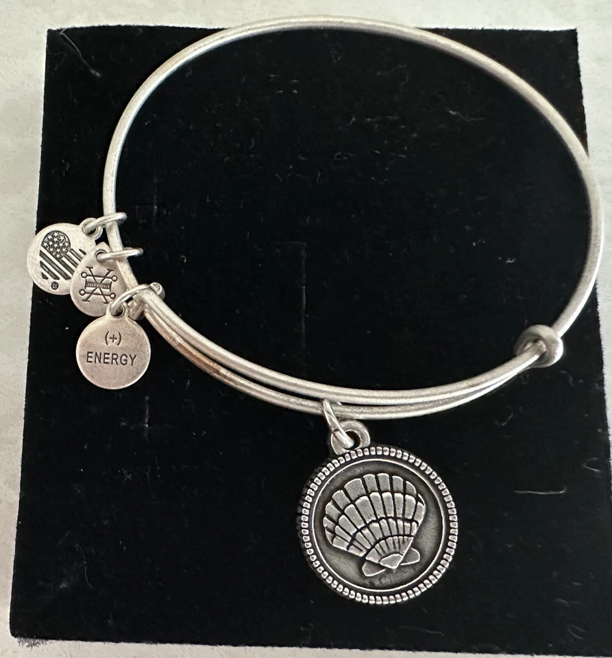 Женские подвески Alex and Ani браслет серебристый регулируемый - Изображение 1 из 2