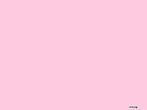 1 World Sarongs Solid Pink Sarong FRINGELESS Beach Cover-Up Wrap Skirt - Picture 1 of 1