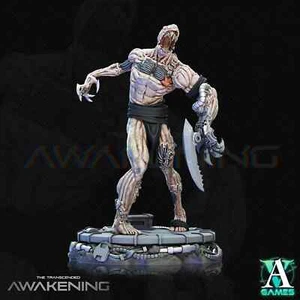 The Transcended Awakening Leftovers - Archvillian Games - Bild 1 von 8