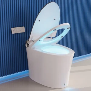 1,28 GF Smart Toilette Bidet mit manuellem Öffnen/Schließen, Autospülen, Warmwaschen, Trockner 7 - Bild 1 von 13