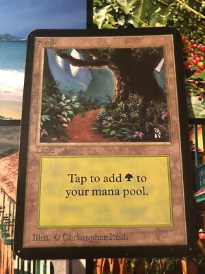  Forest (B) Limited Edition Beta LP/NM MTG Magic the Gathering - Image 1 of 2