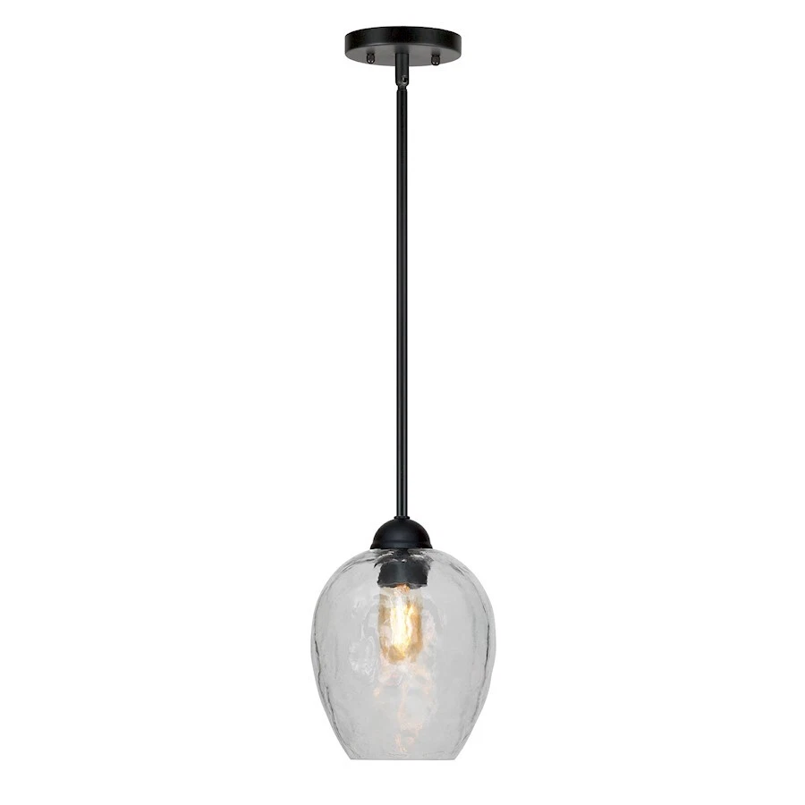 Forte Lighting Olivia 1 Light Mini Pendant, Black/Clear Hammered - 2755-01-04 - Image 1 of 1