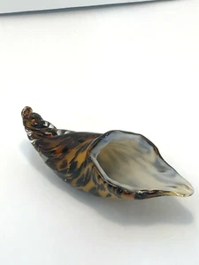 Mid Century Italian Murano Tortoise Shell Patterned Glass Conch Shell Dish - Picture 1 of 11