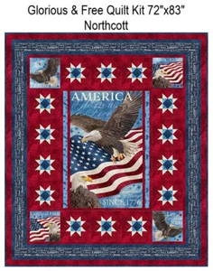 Glorious & Free Patriotic Quilt Kit 72x83 Northcott Stars & Stripe Intermediate - Bild 1 von 8