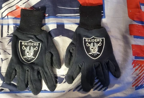 Las Vegas Raiders gloves black Cover