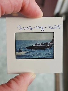1978 Jaws II Bruce Shark Fin Approaches Movie Promo Slide 35mm Transparency - Picture 1 of 4
